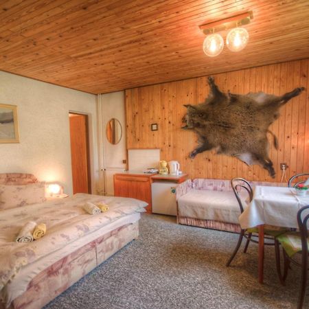 Penzion Ivana ハルラホフ 部屋 写真